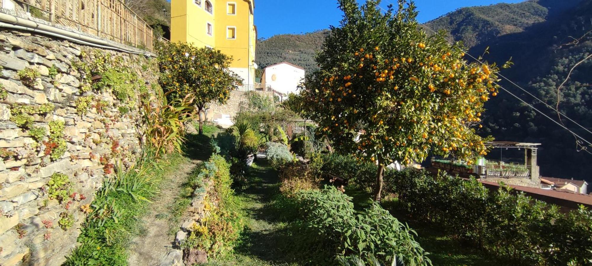 Casa Pablo Villa Badalucco Dış mekan fotoğraf