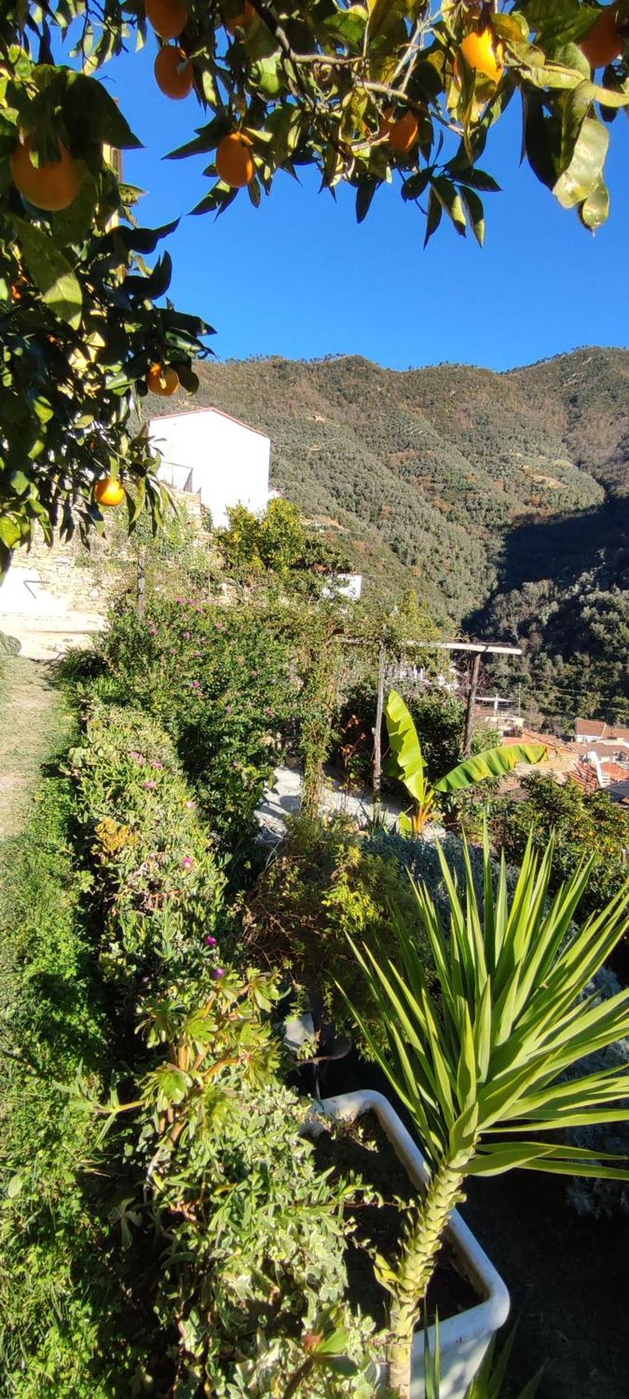 Casa Pablo Villa Badalucco Dış mekan fotoğraf