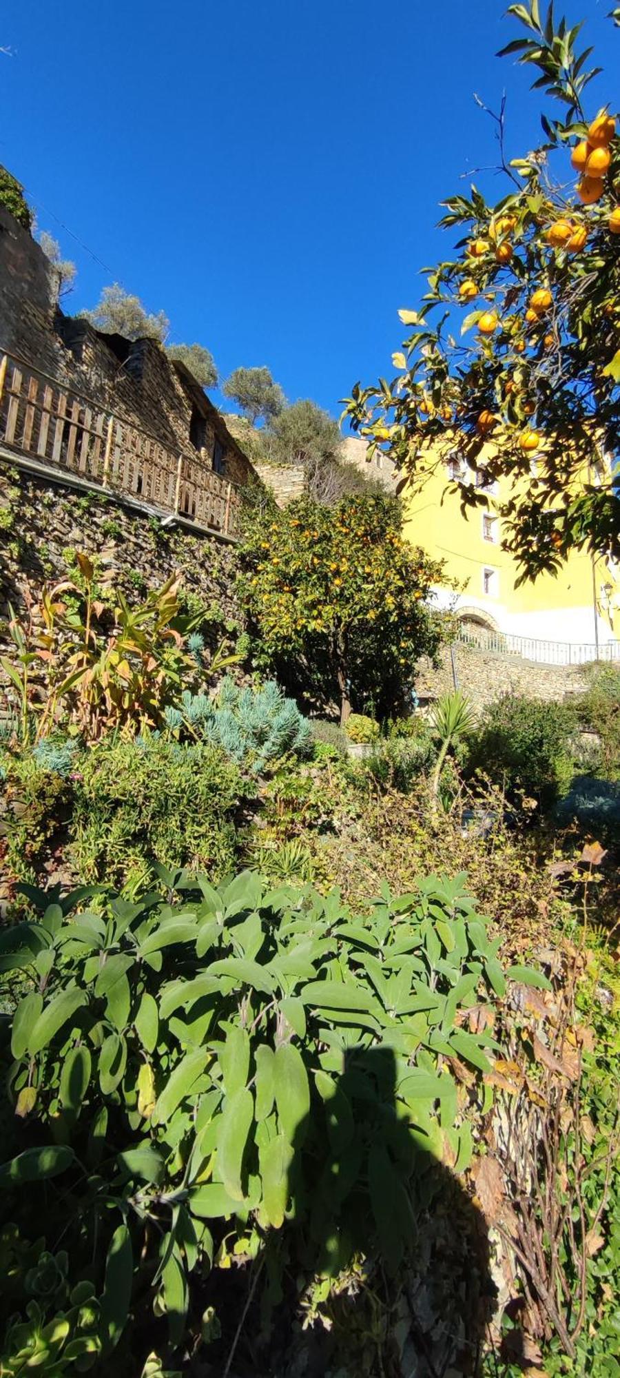 Casa Pablo Villa Badalucco Dış mekan fotoğraf